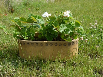 truhlíkový workshop